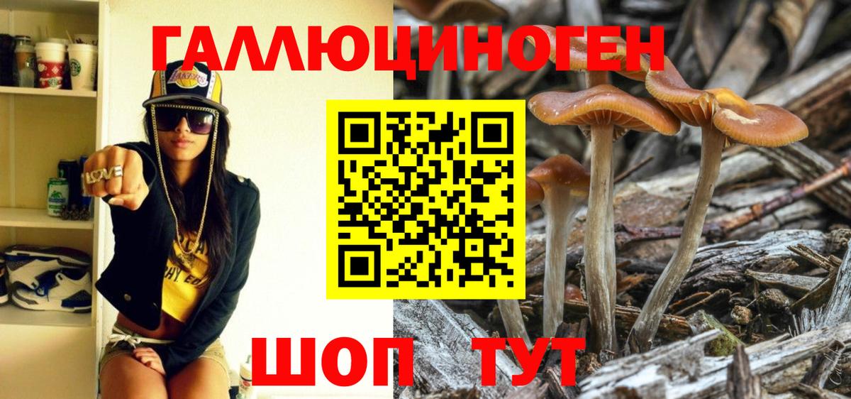 Киров  Галлюциногенные грибы MAGIC MUSHROOMS  закладки  Псилоцибиновые грибы GOLDEN TEACHER  Вход с VPN 